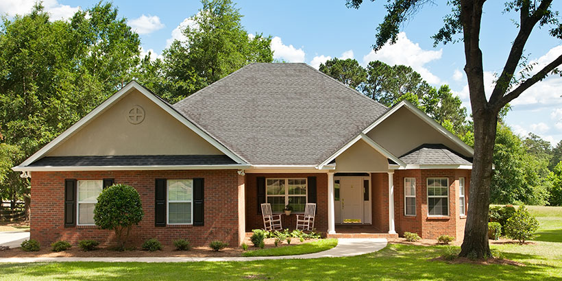 Triangular house shaded by a tall tree