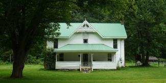 Rural green and white home flanked by old growth trees