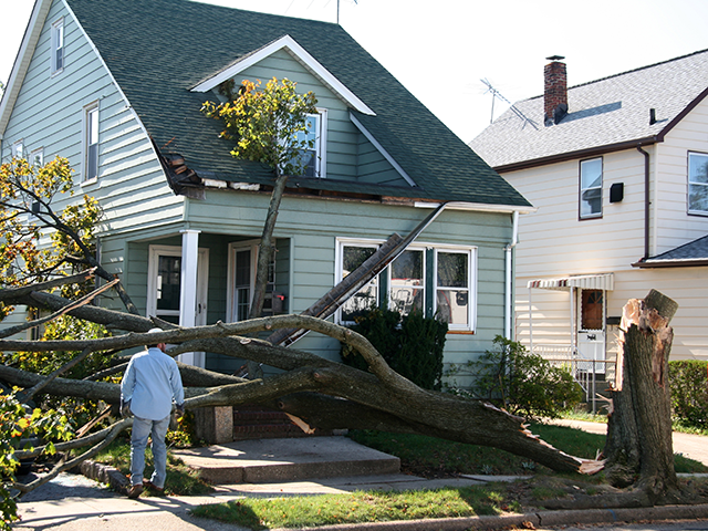 Homeowner evaluates the roof damage after a fallen tree.